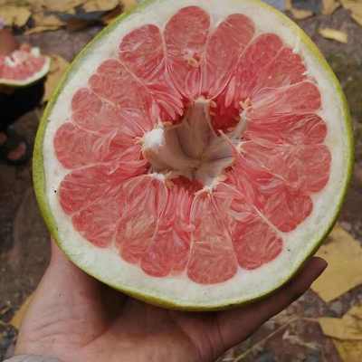 紅心柚批發(fā)價格探析 優(yōu)質(zhì)貨源，價優(yōu)物美